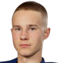 Salonen D.