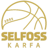 Selfoss Ž