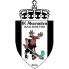 Akerselva Ž