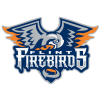 Flint Firebirds