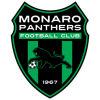 Monaro Panthers -23
