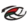 Cingoli