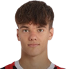 Dorian Paloschi