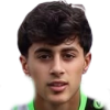 Mahmoud Al Omar